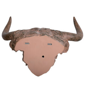 Murchie rustic highland cow 3 back fixing